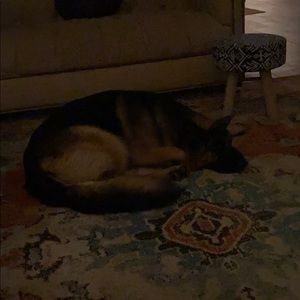 Meet your Posher, Jason